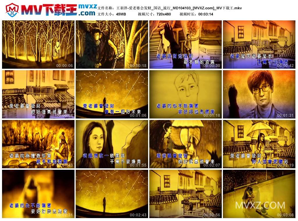 王羽泽-爱老婆会发财_国语_流行_MD104103